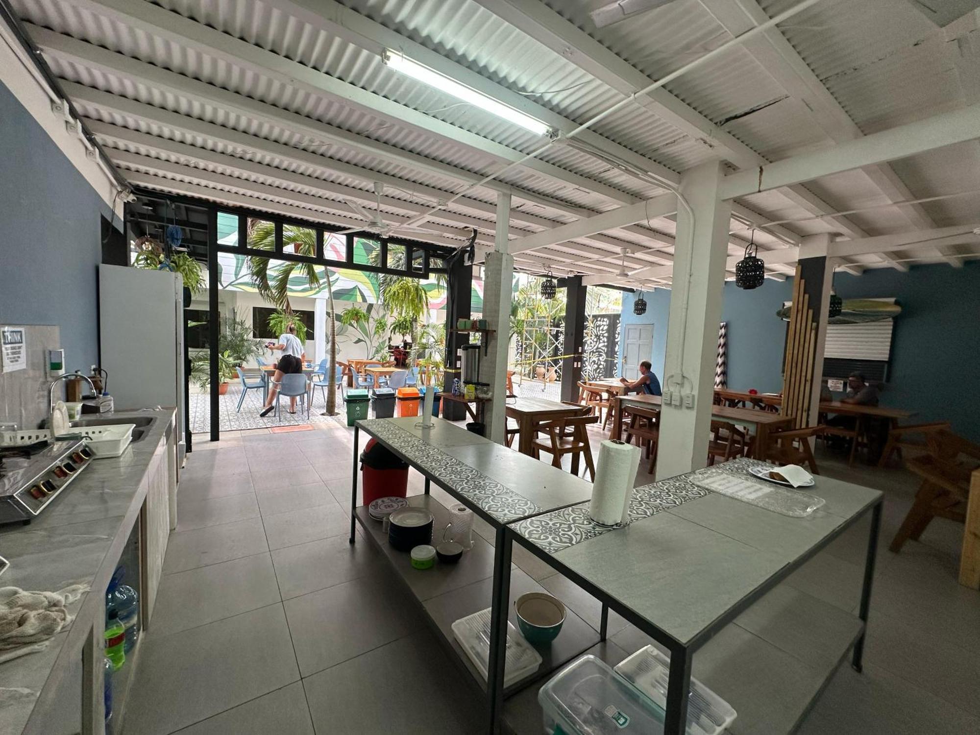 Wide Mouth Frog Quepos Hostel Manuel Antonio Exterior photo