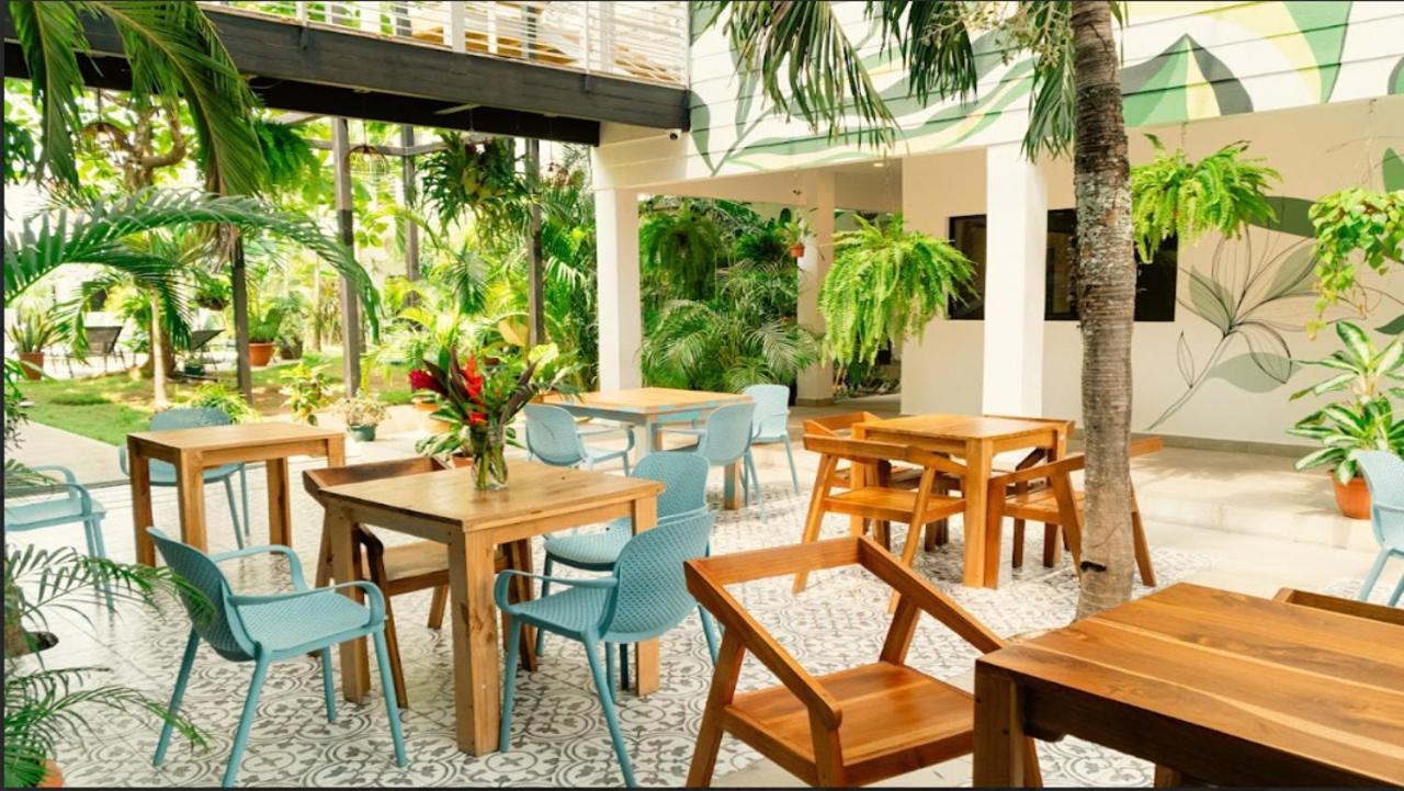 Wide Mouth Frog Quepos Hostel Manuel Antonio Exterior photo
