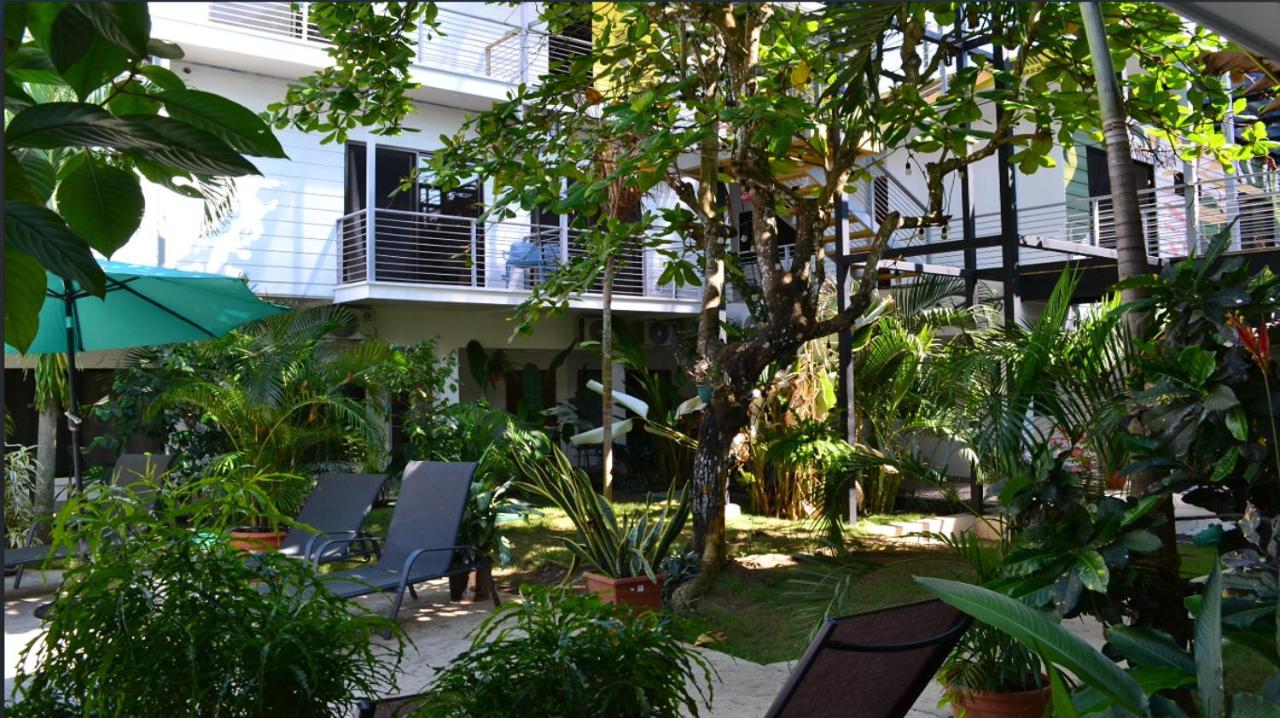 Wide Mouth Frog Quepos Hostel Manuel Antonio Exterior photo